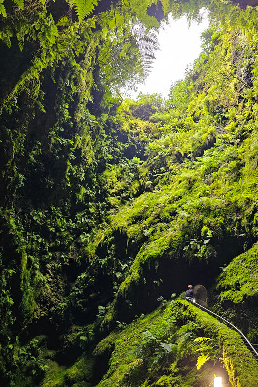 Private Terceira Island Caves: Lava Route - entrances & wine - Convenience and Flexibility