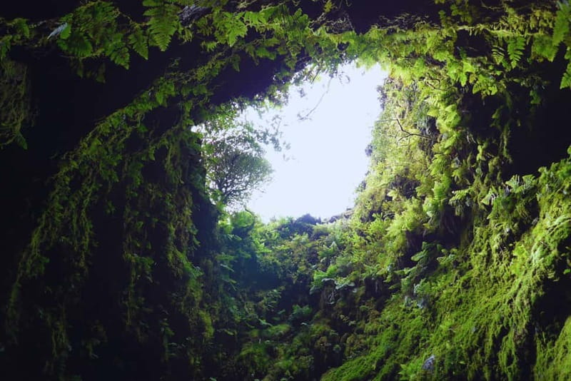 Private Terceira Island Full Day Tour with Cocktail & Tapas - Natural Pools at Biscoitos