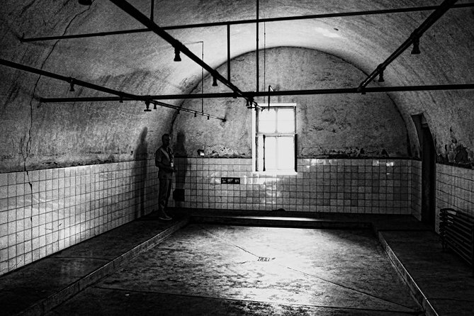 Private Terezin Nazi camp tour from Prague All-Inclusive - Key Points
