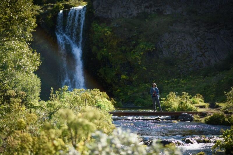 Private The Icelandic Highlands - Discover the Lush Valley of Gjáin and its Hot Springs