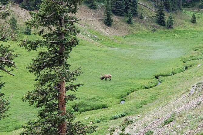Private Three Hour Afternoon Custom Tour of Rocky Mountain National Park - The Experience with a Knowledgeable Guide: Bruce’s Style