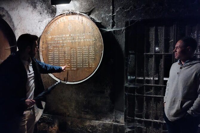 Private Tiles Workshop Tour: Wine Tasting & Sesimbra from Lisbon - Visiting Castelo de Sesimbra and Its 16th-Century Tiles