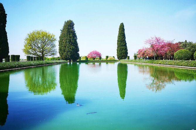 Private Tivoli Day Trip from Rome: Outstanding Villas - The Experience for Different Types of Visitors