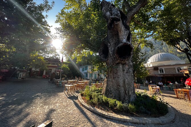 Private Tour 2,5h: Explore Hidden Gems of Marmaris and Peninsula - Accessibility and Group Size