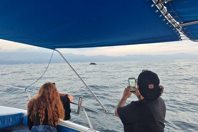 Private Tour 3 Hours of Whale Watching - The Review Highlights: What Travelers Love