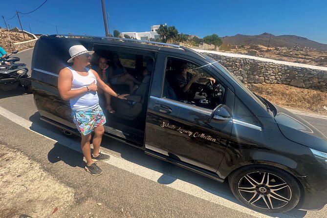 Private Tour- 4 Hours Mykonos Island - Comfortable Transportation and Expert Guidance