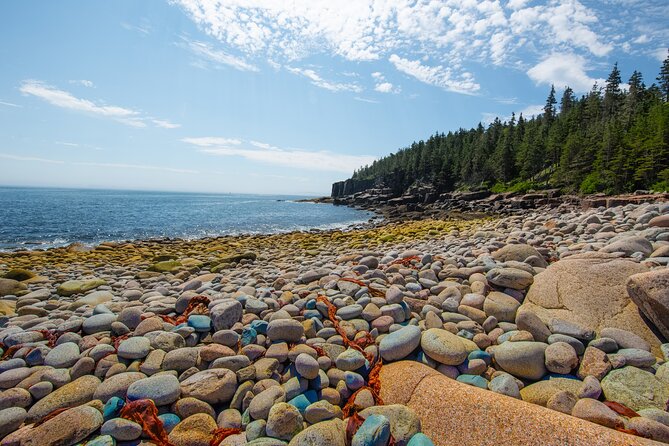 Private Tour Acadia National Park, Fjord - Exploring Sand Beach and Thunder Hole