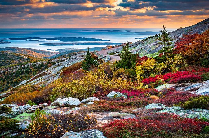 Private Tour Acadia National Park, Fjord - Otter Cliff: A Pink-Granite Coastal Landmark