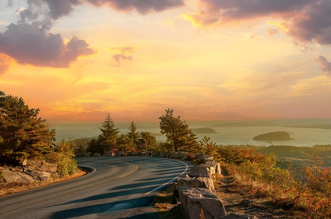 Private Tour Acadia National Park, Fjord - Strolling Through Asticou Azalea Garden and Northeast Harbor