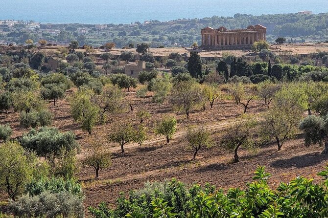 Private Tour Agrigento Valley of the Temples Park and Scala Dei Turchi - Pricing and Booking Tips
