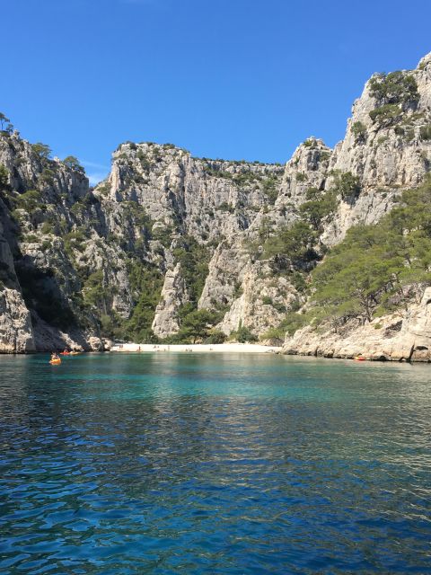 Private Tour Aix en Provence Cassis from Marseille - Comparing Similar Experiences in the Region