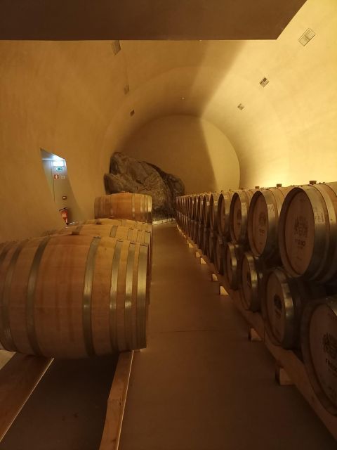 Private Tour Alentejo: Évora, WineTasting and Monsaraz - Discover the Best of Alentejo with a Private Guide and Vehicle