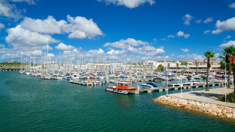 Private Tour Algarve Premium - Starting Point: From Lisbon to Lagos in Comfort