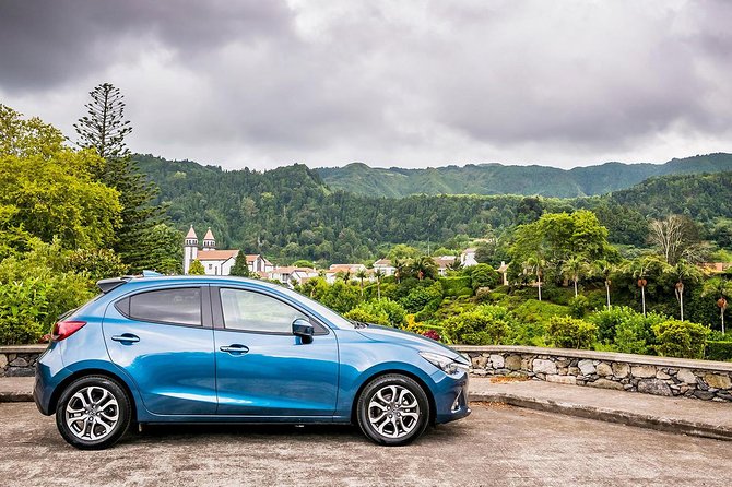 Private Tour: All of Furnas (Beija Included) & Lagoa do Fogo - Visiting the Gorreana Tea Plantation