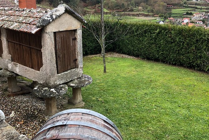 Private Tour Alvarinho (Melgaço and Monção) includes 3 wine tastings - Walking Through Monção and Its Fortress