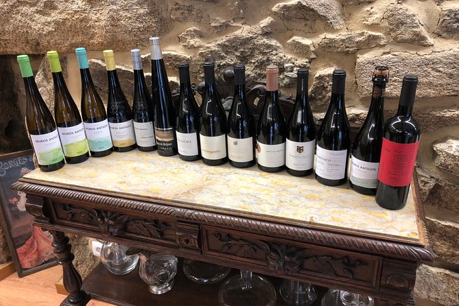 Private Tour Alvarinho (Melgaço and Monção) includes 3 wine tastings - Admiring the Iron Bridge and Its Architectural Style