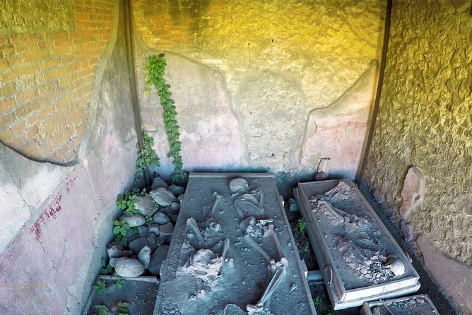 Private tour Amalfi Coast and Pompei: Positano and Sorrento - Discovering Pompeii’s Ruins with a Private Guide