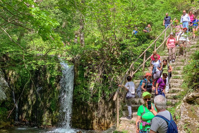 Private Tour: Amalfi Valle delle Ferriere Nature Reserve Walking Tour - Ending in Amalfi’s Historic Center