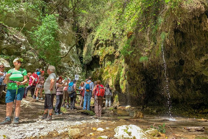 Private Tour: Amalfi Valle delle Ferriere Nature Reserve Walking Tour - Logistics: Easy Meeting, Private Group, and Weather Considerations