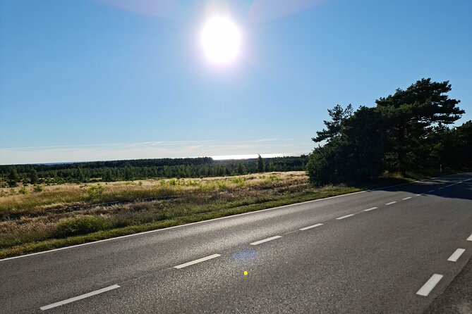 Private Tour: Amber Catching in Curionian Spit From Klaipeda - Discovering Baltic Amber at Mizgiris Amber Museum