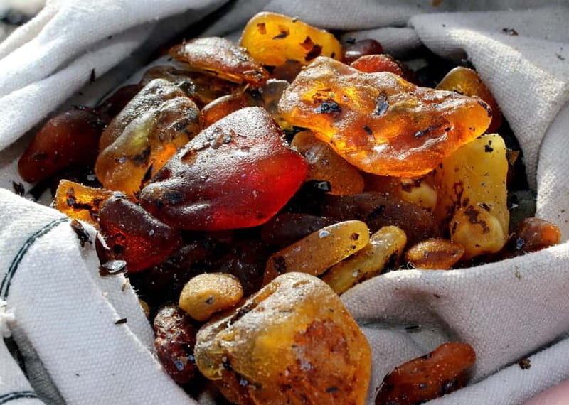 Private Tour: Amber Catching in Curonian Spit from Klaipeda - From Klaipeda to Amber Bay and Juodkrant