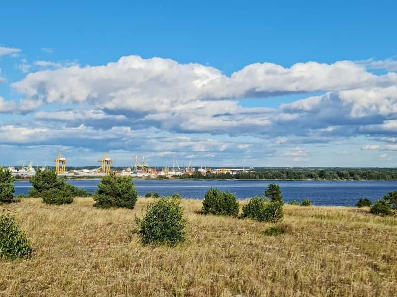 Private Tour: Amber Catching in Curonian Spit from Klaipeda - The Mizgiris Amber Museum in Nida