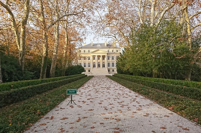 Private tour and visits on the Medoc Castle Route (Luxury Minivan) - Key Points