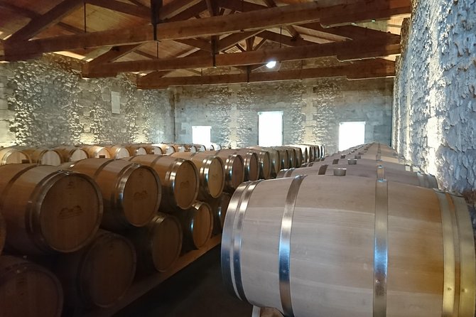 Private tour and visits on the Medoc Castle Route (Luxury Minivan) - Visiting Château Dauzac: The First Step into Margaux