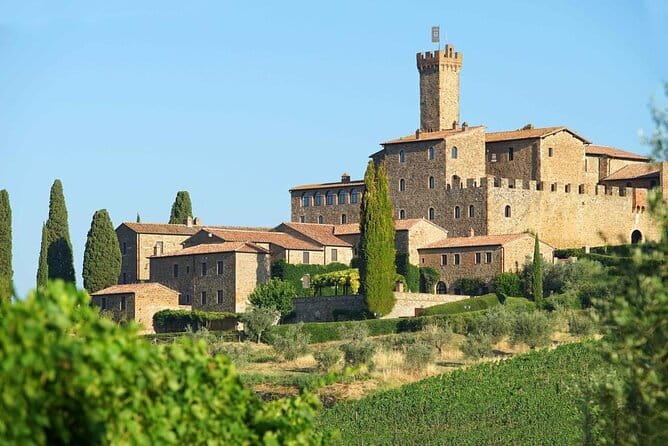 Private Tour and Wine Tasting at Castle-Wineries in Chianti from Florence - Exploring the Castles and Wineries in Depth