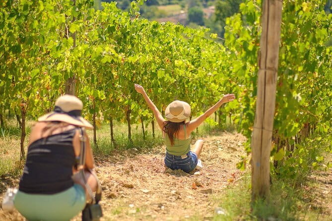 Private Tour and Wine Tasting at Castle-Wineries in Chianti from Florence - The Expertise of the Guides and Drivers