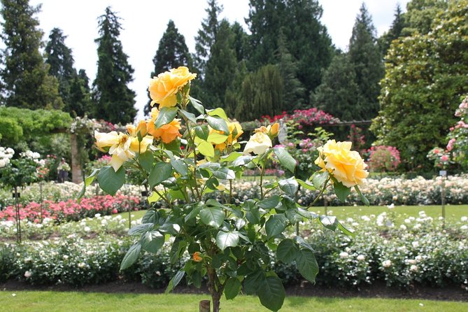 Private Tour around Lake Constance in just one day including pick up from any hotel - Visiting Villages and Historic Monuments