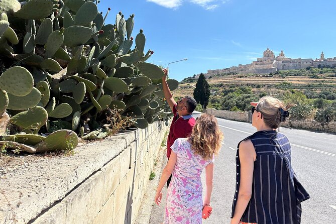 Private Tour Around Malta - Lunch Break in the Picturesque Marsaxlokk