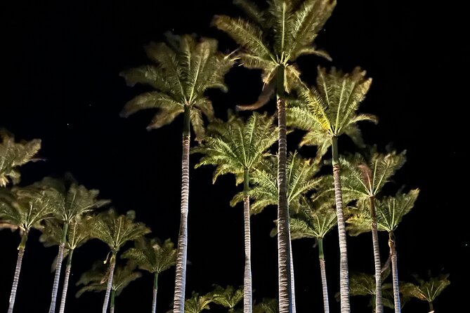 Private Tour Around the Island of Hawaii - Starting at Hilton Waikoloa Village in Style and Comfort