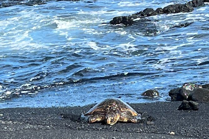 Private Tour Around the Island of Hawaii - Visiting the Rare Green Sand Beach