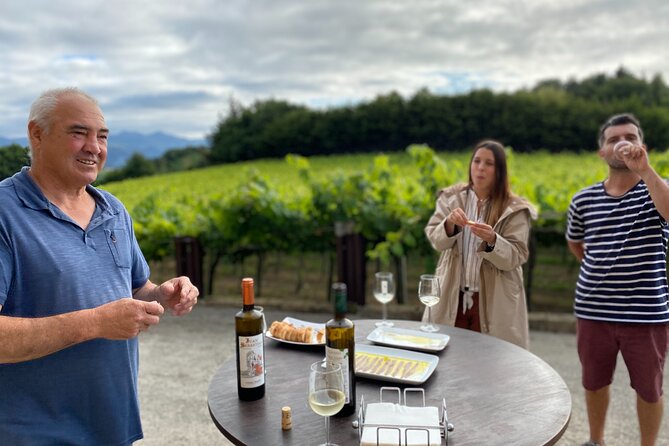 Private Tour at a Family Winery and Basque Coast Route - Reviews: Praise for Knowledge, Scenery, and Experience