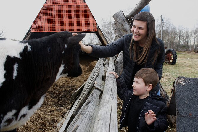 Private Tour at Historic Alaska Dairy Farm - Key Points