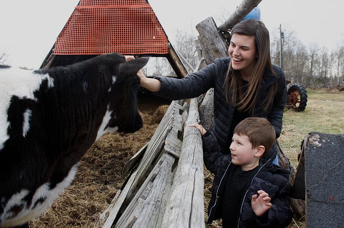 Private Tour at Historic Alaska Dairy Farm - Final Thoughts on the Alaska Dairy Farm Private Tour