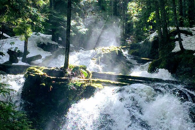 Private Tour at The Hood-Columbia Loop: Timberline, Orchards, and Waterfalls - Discover Oregons Natural Beauty on a Private Portland Tour