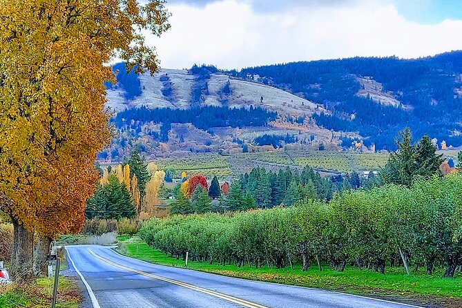 Private Tour at The Hood-Columbia Loop: Timberline, Orchards, and Waterfalls - Sampling Local Flavors at Apple Valley Country Store