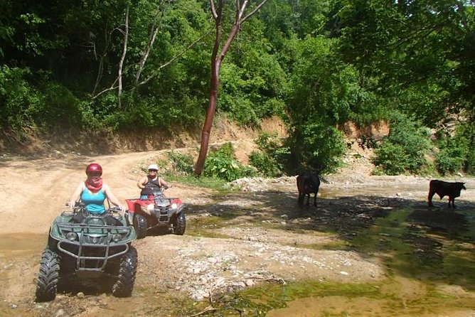 Private Tour: ATV SIERRA MADRE rivers with Tequila Tasting - Tour Guides and Customer Service Excellence