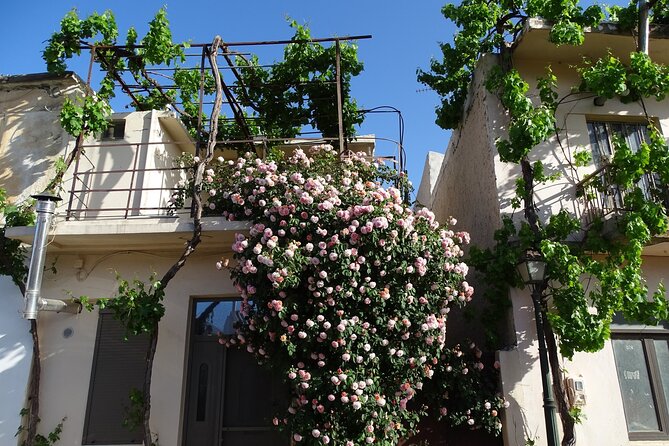 Private Tour-Authentic Villages of Lasithi Olive Oil and Wine - Tasting Cretan Wines and Local Beverages at Lasithi Mesa