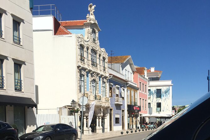 Private tour Aveiro & Coimbra + Moliceiro Tour - Scenic Journey through Aveiro’s Canal Network and Moliceiro Boats