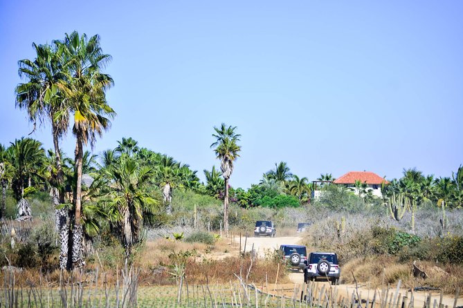 Private Tour Baja Jeep 4x4 Adventure at Los Cabos - Exploring the Stops: From Baja Desert to Local Towns