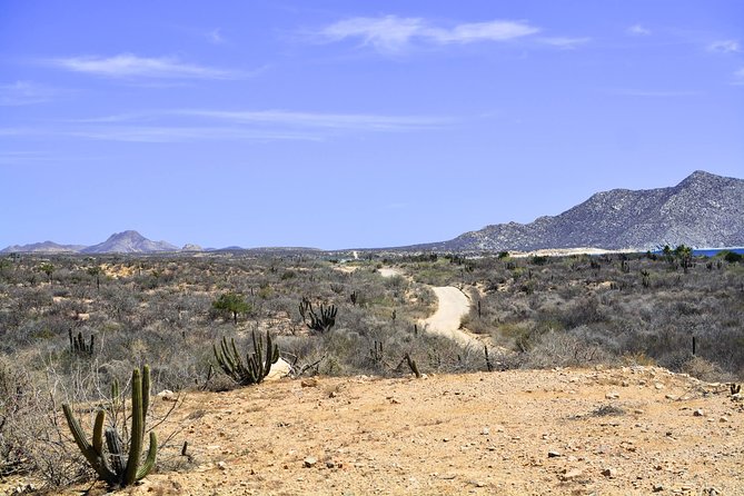 Private Tour Baja Jeep 4x4 Adventure at Los Cabos - The Value and Overall Experience