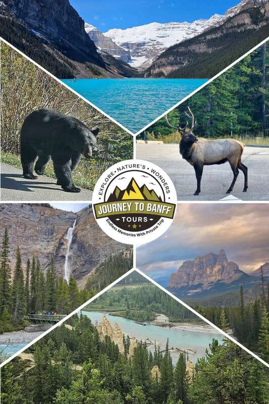 Private Tour Banff/Emerald Yoho Customized Sightseeing - Iconic Stops in Banff National Park: Lake Louise, Bow Falls, and Lake Minnewanka