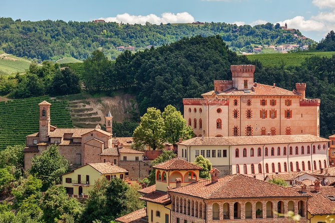 Private Tour: Barolo Wine Tasting in Langhe area from Torino - Tasting at Marchesi di Barolo and Montezemolo Vineyards