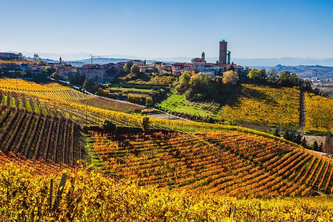 Private Tour: Barolo Wine Tasting in Langhe area from Torino - The Guide and Their Knowledge