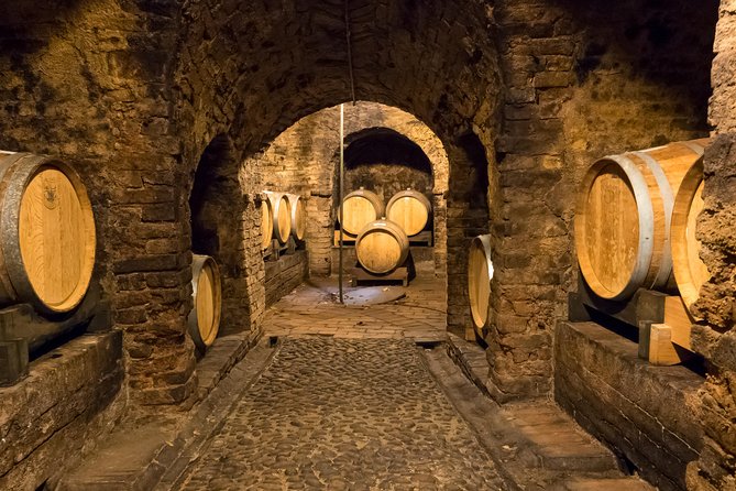 Private Tour: Barolo Wine Tasting in Langhe area from Torino - Pacing, Punctuality, and Overall Experience