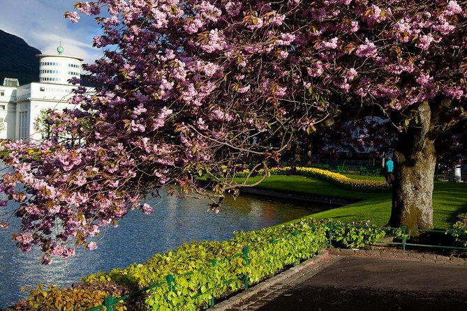 PRIVATE TOUR: Bergen city sightseeing, 3 hours - The Experience at Troldhaugen: Edvard Grieg’s Residence and Museum