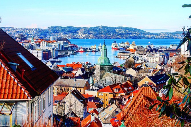 PRIVATE TOUR: Bergen city sightseeing, 3 hours - The Old Bergen Museum: A Walk Through History